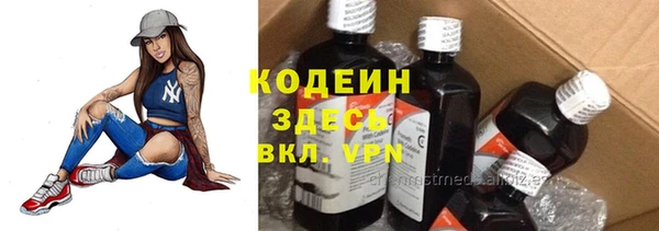 прущие грибы Алексеевка