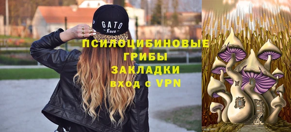 дурь Алзамай