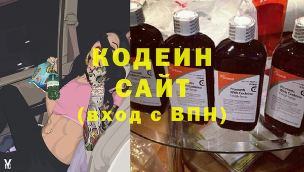 прущие грибы Алексеевка