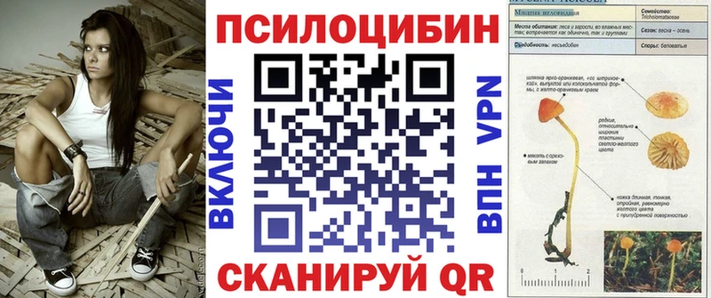 Псилоцибиновые грибы Psilocybe  Вилюйск 